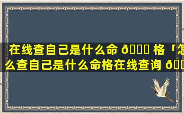 在线查自己是什么命 🐘 格「怎么查自己是什么命格在线查询 🌳 」